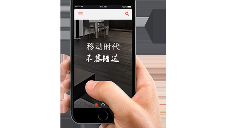 高端定制网站，性价比之选揭秘**